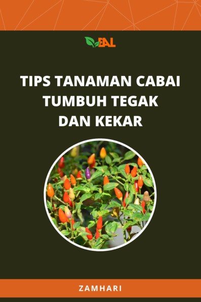 Tips Tanaman Cabai Tumbuh Tegak dan Kekar